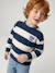 Sweat garçon col rond marine+noisette+pistache 2 - vertbaudet enfant 
