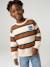 Sweat garçon col rond marine+noisette+pistache 6 - vertbaudet enfant 