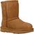 Bottes garçon modèle classic ii Marron chestnut+Noir black 5 - vertbaudet enfant 