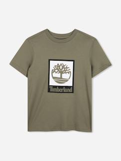 Garçon-T-shirt, polo, sous-pull-T-shirt  garçon col rond