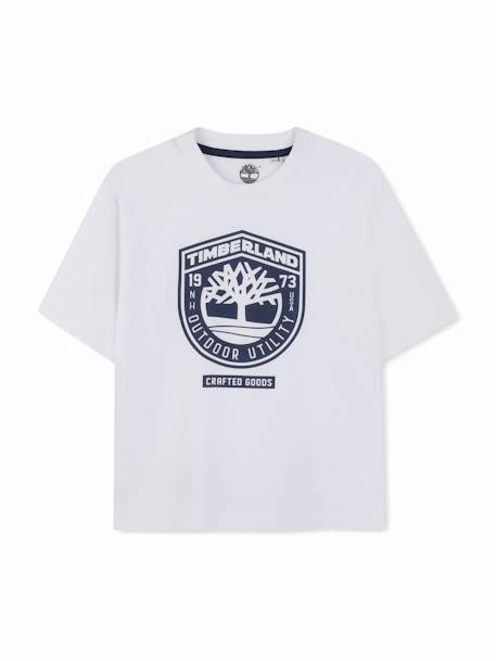 Garçon-T-shirt  garçon col rond