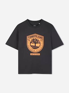 Garçon-T-shirt, polo, sous-pull-T-shirt-T-shirt  garçon col rond
