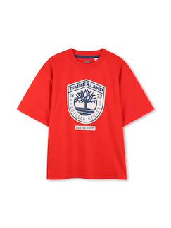 Garçon-T-shirt, polo, sous-pull-T-shirt-T-shirt  garçon col rond