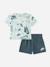 Ensemble garçon 2 pièces Blanc / beige+Bleu+Noir / blanc+Vert 11 - vertbaudet enfant 