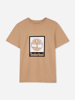 Garçon-T-shirt, polo, sous-pull-T-shirt  garçon col rond