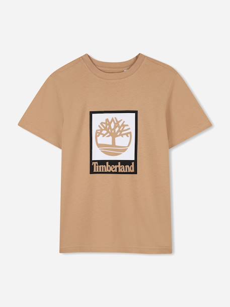 T-shirt  garçon col rond Marron clair+Vert 1 - vertbaudet enfant 