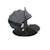 Pack cosi pebble pro 2 + pearl 360 pro 2 + embase familyfix 360 pro Black+Graphite+Green+Truffle 12 - vertbaudet enfant 