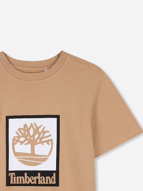 T-shirt  garçon col rond Marron clair+Vert 3 - vertbaudet enfant 
