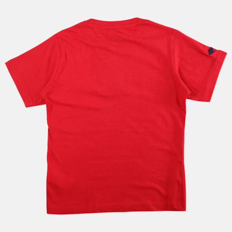 T shirt garçon manches courtes imprimé Beige+Gris+Marine+Noir+Rouge 20 - vertbaudet enfant 