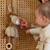 Peluche musicale à suspendre lion safari friends Beige, marron 2 - vertbaudet enfant 