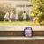 Trousse garnie double compartiment chien 20 cm Blanc / rose / bleu 2 - vertbaudet enfant 
