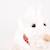 Lola le chien en peluche 17 cm Blanc 3 - vertbaudet enfant 