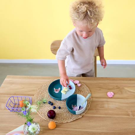 Assiette en silicone tiny team chien Bleu 4 - vertbaudet enfant 