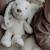 Peluche bruit blanc milo le lapin Beige+Blanc, bleu+Gris 12 - vertbaudet enfant 