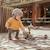 Porteur évolutif en highwaykick 1 lifestyle brown lines Gris, noir 5 - vertbaudet enfant 
