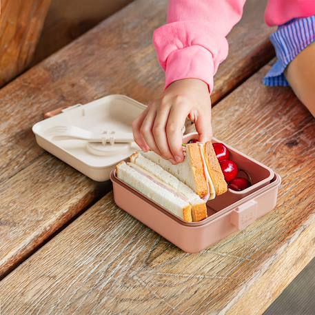 Boite à sandwich et goûter 850ml snacky Bleu dino+Bleu infinity+Bleu wolf+Cannelle fox+Rose birds+Rose blush+Rose leopard+Vert forest+Vert raccoon 41 - vertbaudet enfant 