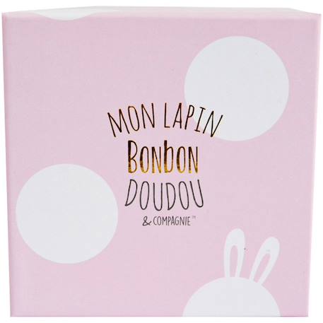 Coffret chaussons hochet mon tout petit lapin rose (0-6 mois) Rose 4 - vertbaudet enfant 