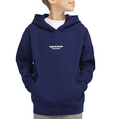 -Sweat à capuche garçon vesterbro