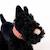 Walter le chien en peluche 17 cm Noir 4 - vertbaudet enfant 