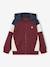 Sweat zippé garçon capuche coloblock bleu moyen+bordeaux+ocre+vert 5 - vertbaudet enfant 