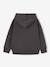 Sweat à capuche garçon anthracite 2 - vertbaudet enfant 