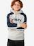 Sweat Archive Panel gris 2 - vertbaudet enfant 