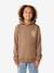 Sweat à capuche Search Icon marron+noir 1 - vertbaudet enfant 