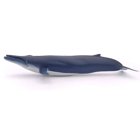 Baleine bleue Bleu 4 - vertbaudet enfant 