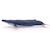 Baleine bleue Bleu 4 - vertbaudet enfant 