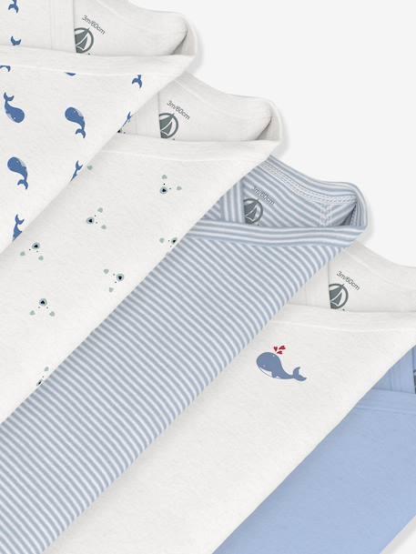 Lot 5 bodies croisés manches longues bleu 3 - vertbaudet enfant 