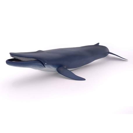 Baleine bleue Bleu 1 - vertbaudet enfant 