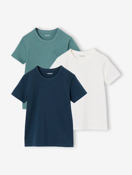 Lot de 3 T-shirts manches courtes garçon bleu nuit 1 - vertbaudet enfant 