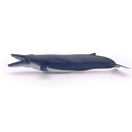 Baleine bleue Bleu 6 - vertbaudet enfant 