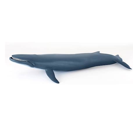 Baleine bleue Bleu 5 - vertbaudet enfant 