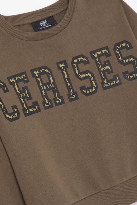 Sweat-shirt dianegi Chocolat 3 - vertbaudet enfant 
