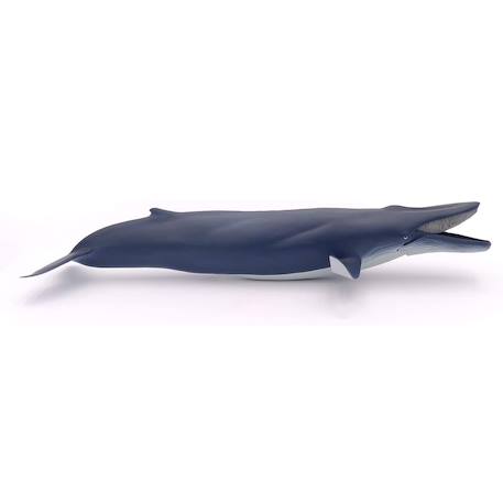 Baleine bleue Bleu 2 - vertbaudet enfant 