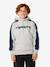 Sweat Archive Panel gris 1 - vertbaudet enfant 