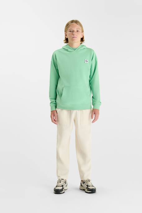 Sweat-shirt capuche autabo Aloe 2 - vertbaudet enfant 