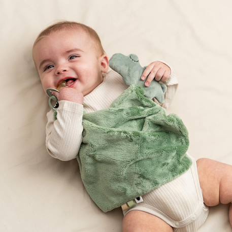 Doudou plat croco Vert 4 - vertbaudet enfant 