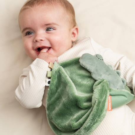 Doudou plat croco Vert 5 - vertbaudet enfant 