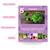 Jeu de 7 familles, alimentation ROSE 4 - vertbaudet enfant 