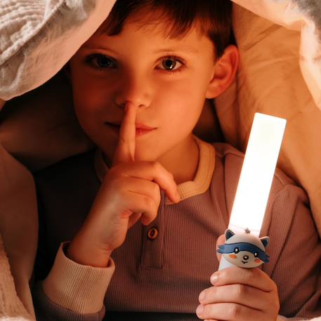 Lampe raton laveur Blue 4 - vertbaudet enfant 