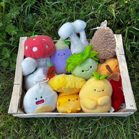 Porte-clé peluche veggies champignon (15 cm) Blanc, rouge 5 - vertbaudet enfant 