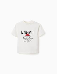 T-shirt en coton avec imprimés marshall  - vertbaudet enfant