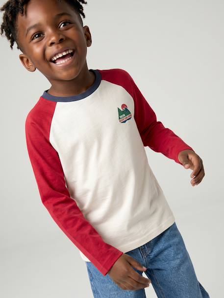 T-shirt manches longues garçon bordeaux+ocre+vert sauge 2 - vertbaudet enfant 