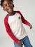 T-shirt manches longues garçon bordeaux+ocre+vert sauge 2 - vertbaudet enfant 