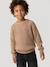 Pull col rond garçon beige chiné 1 - vertbaudet enfant 