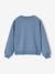 Sweat Lilo et Stitch bleu chambray 2 - vertbaudet enfant 
