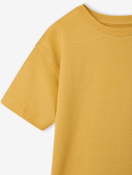 Lot de 3 T-shirts garçon manches courtes ocre 6 - vertbaudet enfant 