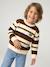 Pull garçon manches longues marine+noisette 10 - vertbaudet enfant 